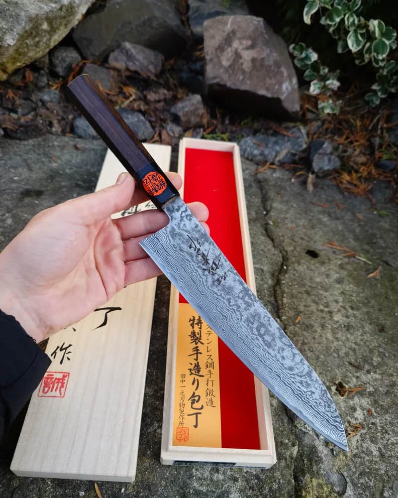 Ніж Гюто (Gyuto) 210mm, Shigeki Tanaka, сталь SG2