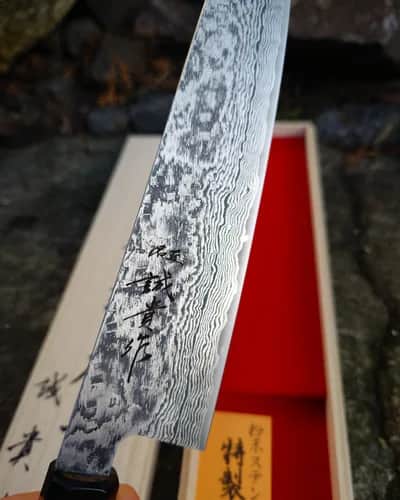 Ніж Гюто (Gyuto) 210mm, Shigeki Tanaka, сталь SG2 - Thumbnail 4