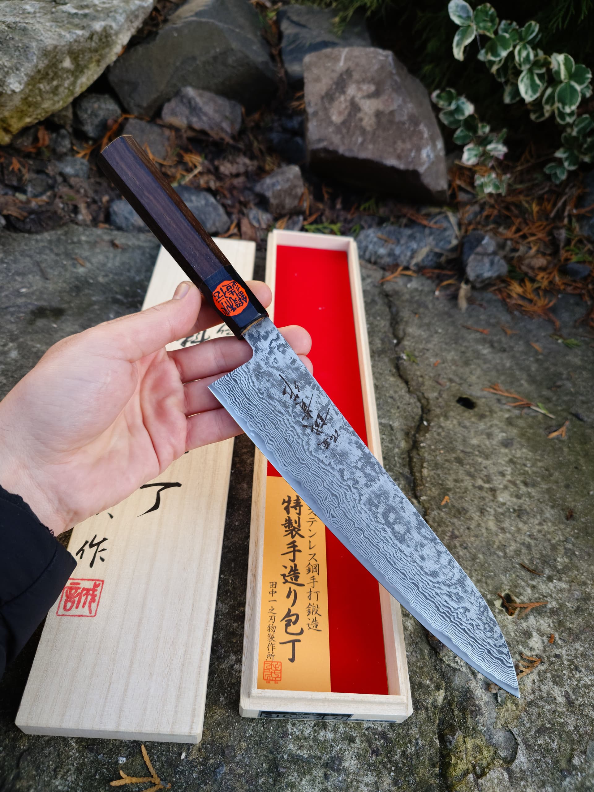 Ніж Гюто (Gyuto) 210mm, Shigeki Tanaka, сталь SG2