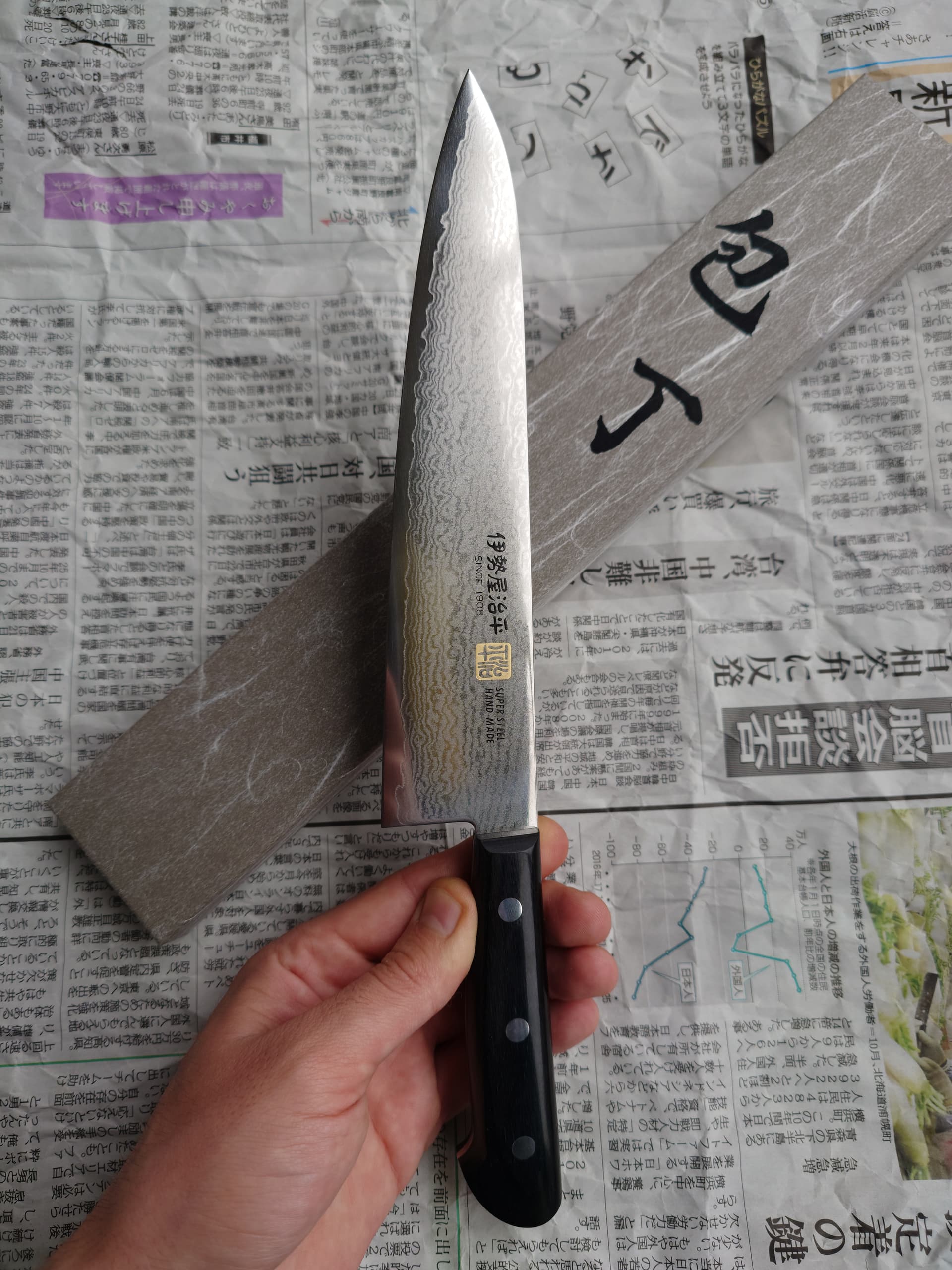Ніж Гюто (Gyuto) 210mm, Seto Iseya, сталь VG10